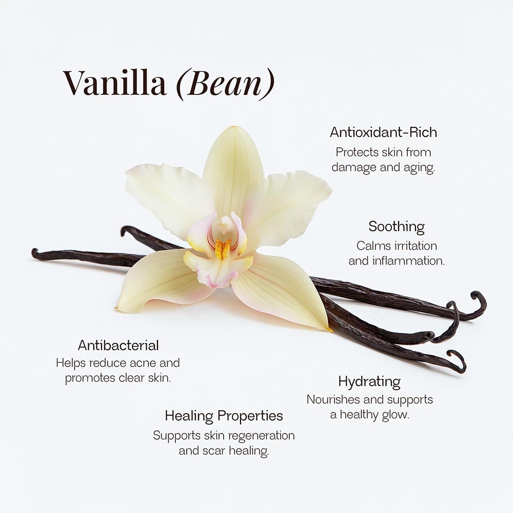 Vanilla Infused, Whipped Tallow Balm