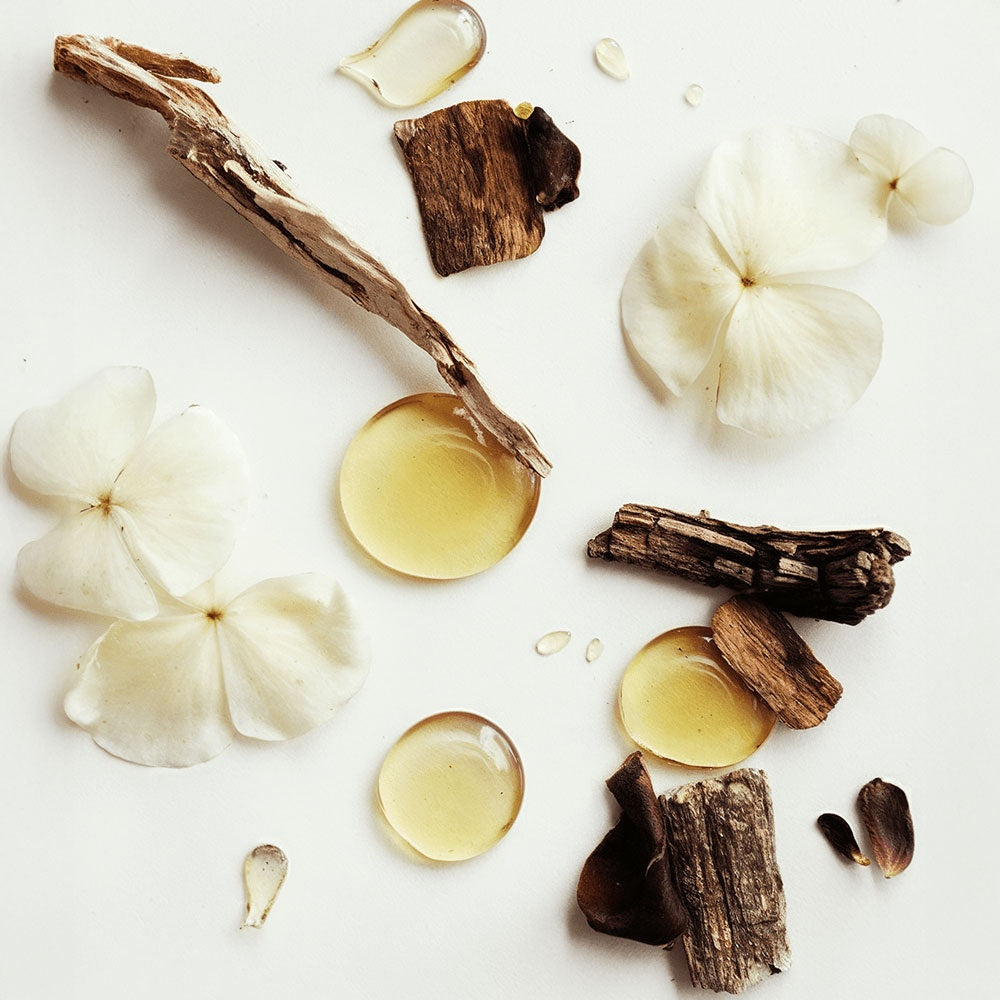 Vanilla Infused, Whipped Tallow Balm
