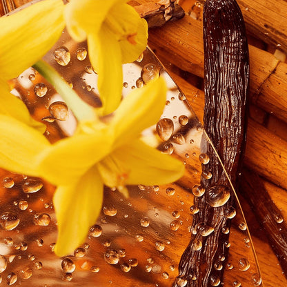 Vanilla Infused, Whipped Tallow Balm