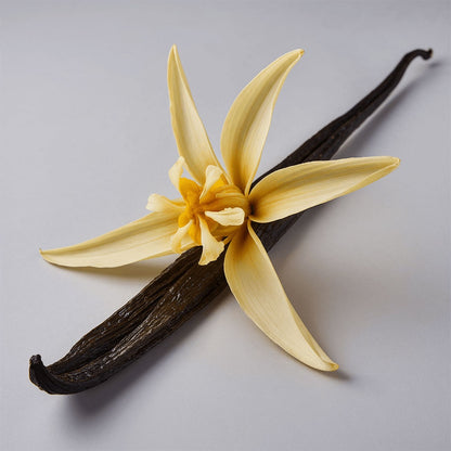 Vanilla Infused, Whipped Tallow Balm