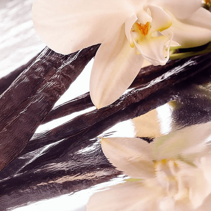 Vanilla Infused, Whipped Tallow Balm